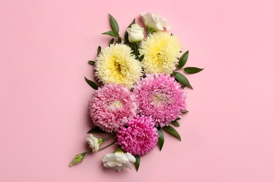 Beautiful asters on pink background, flat lay. Autumn flowers