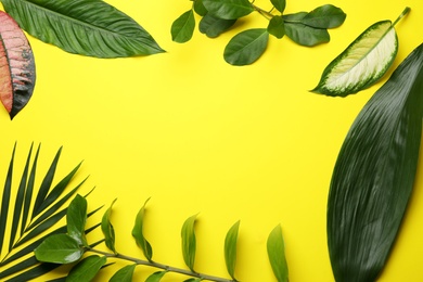 Photo of Flat lay composition with tropical leaves and space for text on color background