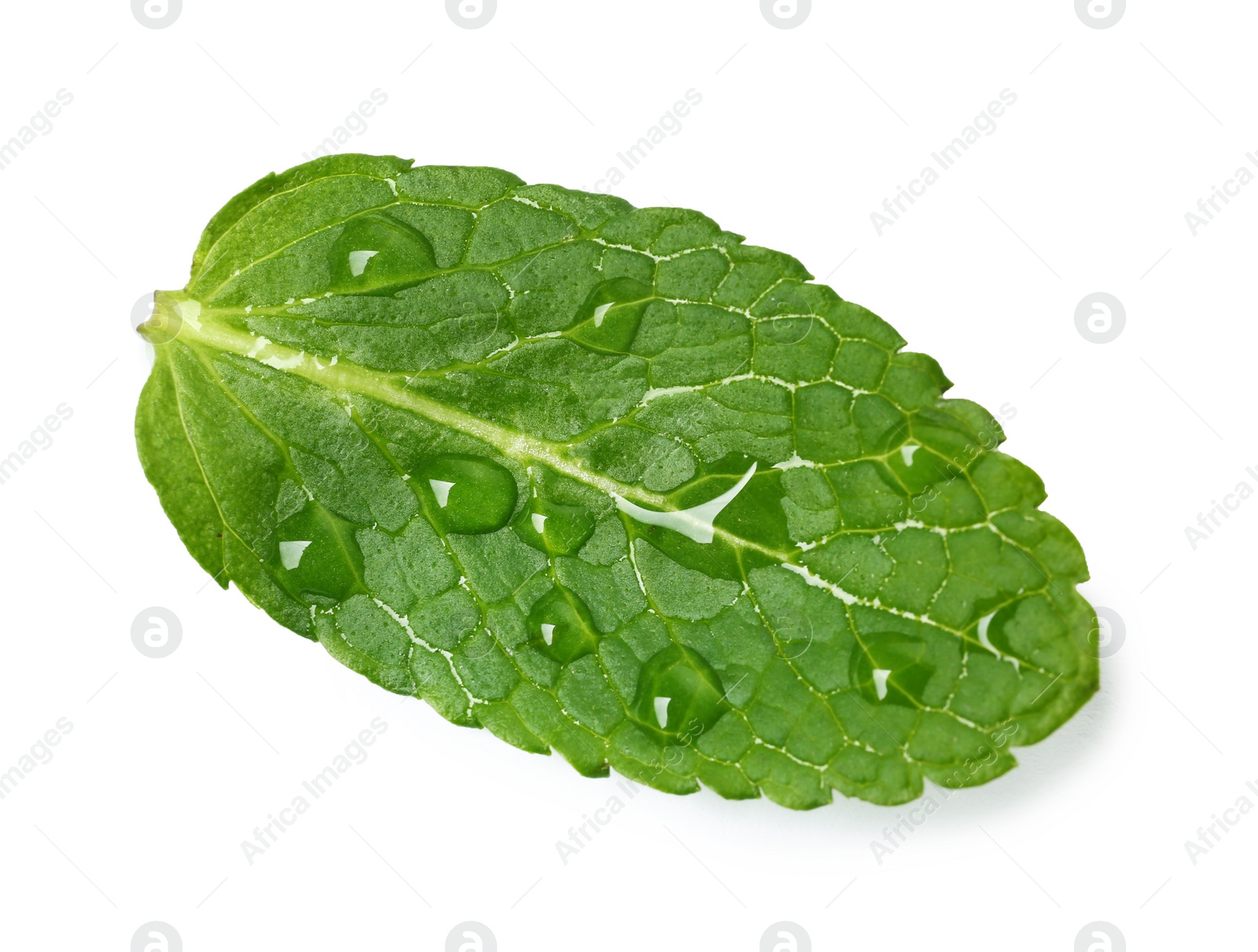 Photo of Wet leaf of fresh mint isolated on white, top view