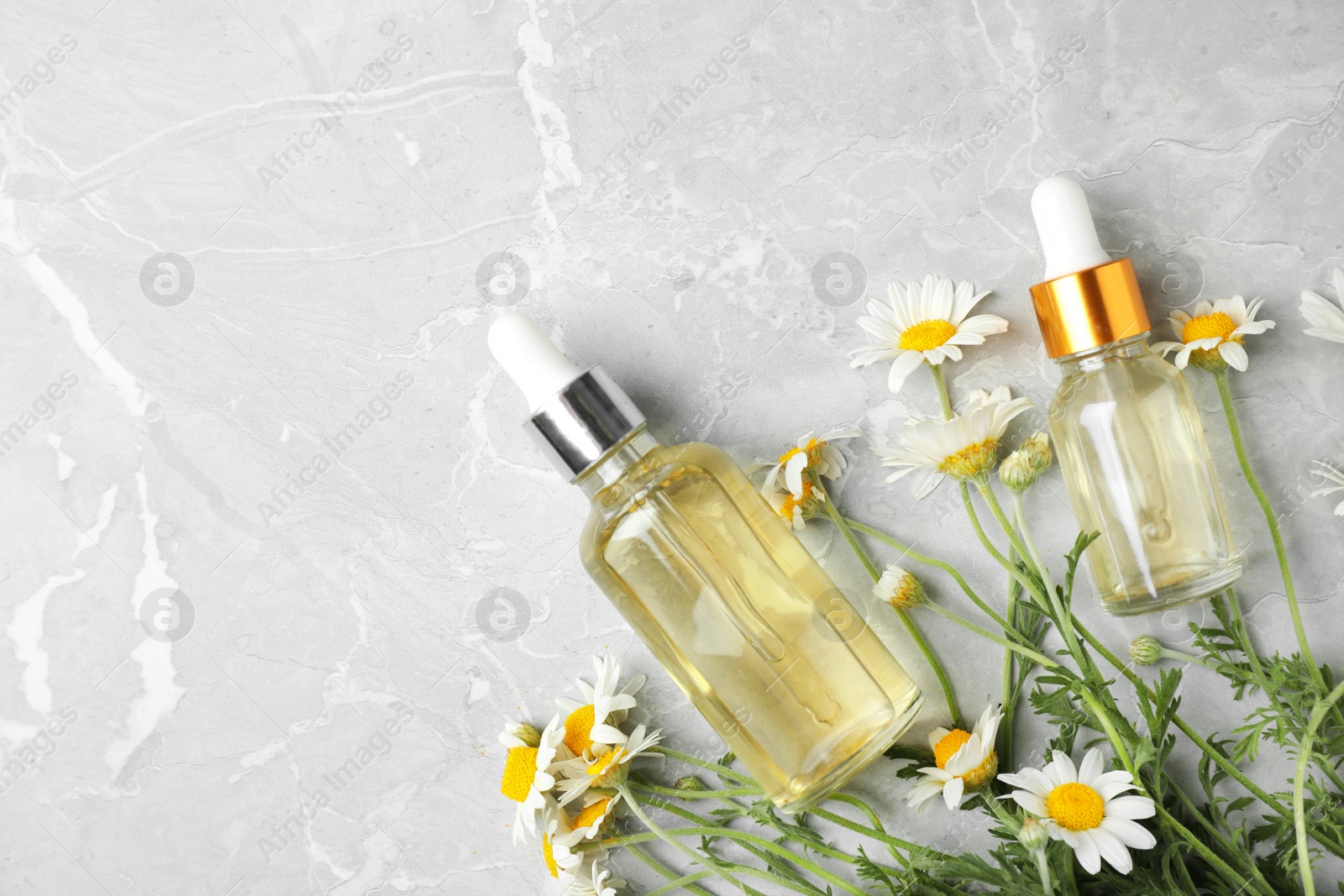 Photo of Bottles of chamomile essential oil and flowers on grey table, flat lay. Space for text