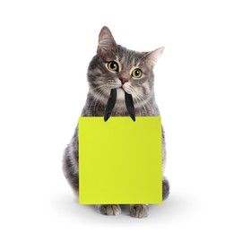 Image of Cute grey tabby cat holding yellow paper shopping bag on white background
