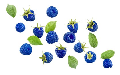 Image of Many fresh blue raspberries and green leaves falling on white background