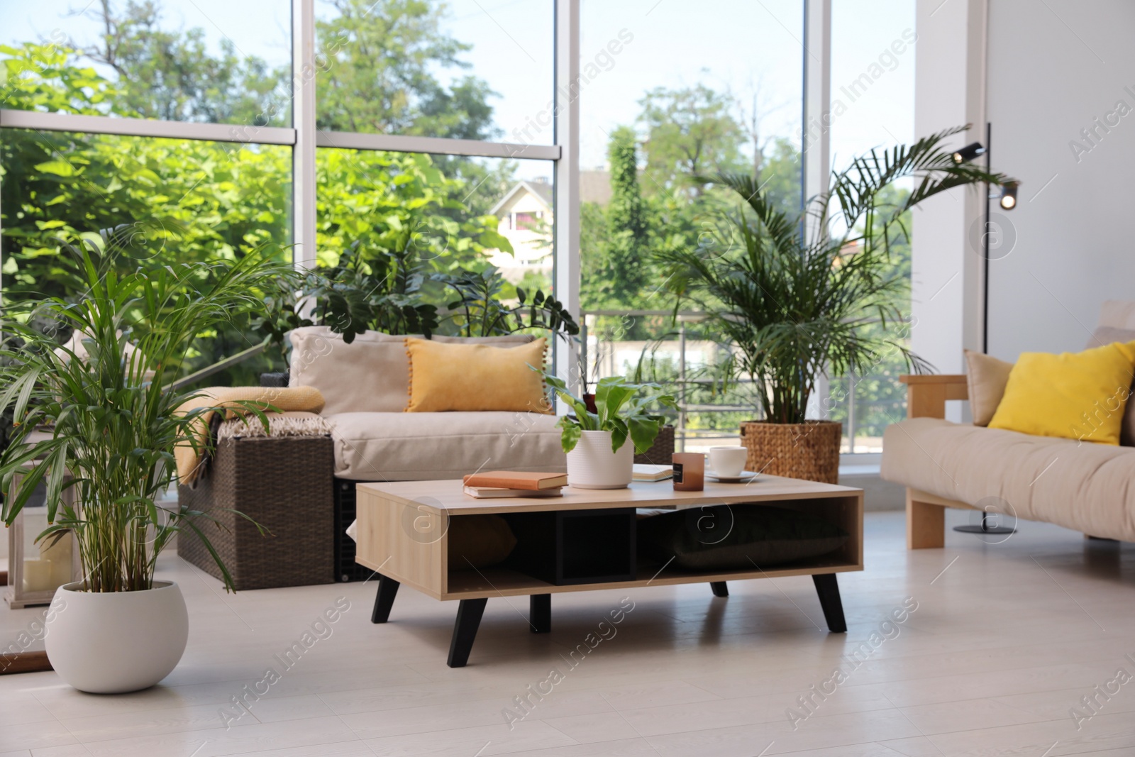 Photo of Indoor terrace interior with modern furniture and houseplants