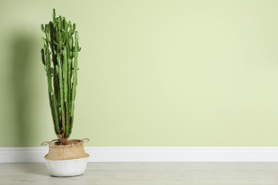 Photo of Beautiful cactus near green wall, space for text. Tropical plant