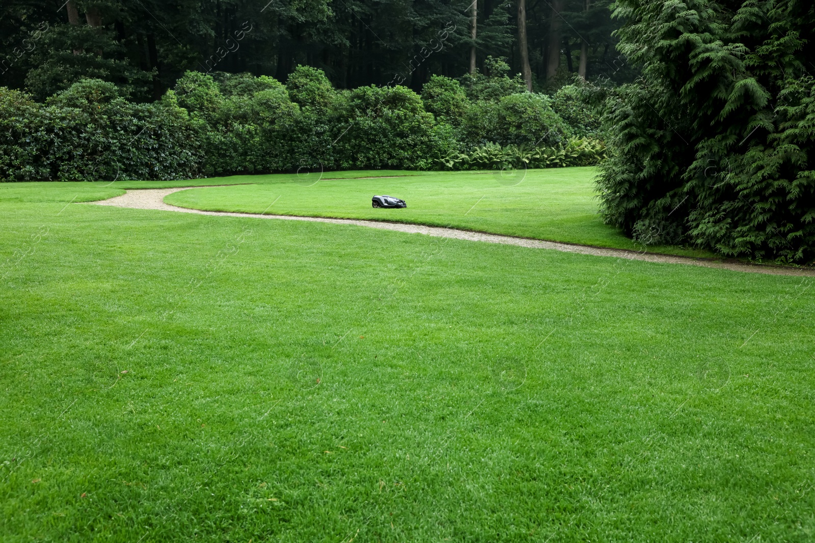 Photo of Beautiful freshly cut green lawn in park