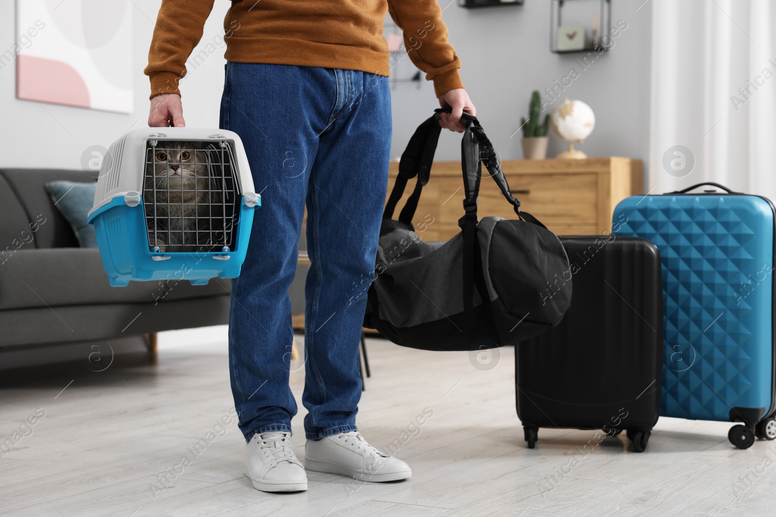 Photo of Travel with pet. Man holding carrier with cute cat and bag at home, closeup