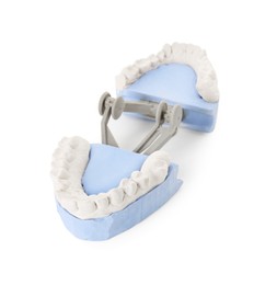 Photo of Dental model with gums isolated on white. Cast of teeth