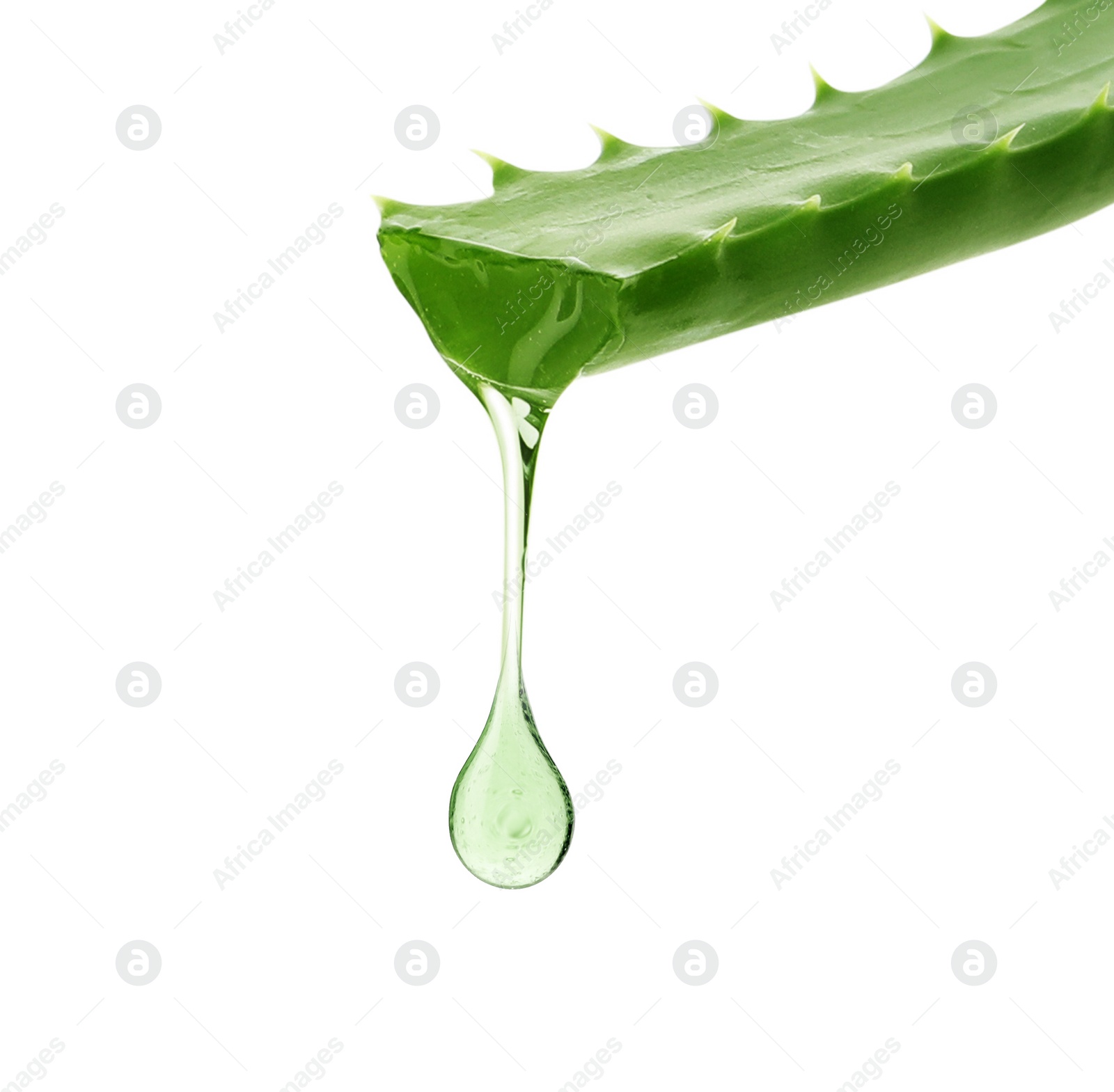 Image of Aloe vera leaf with juice on white background