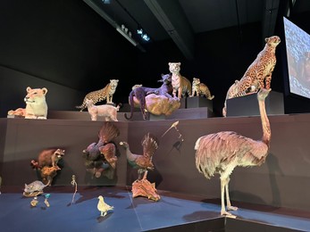 Photo of Leiden, Netherlands - November 19, 2022: Museum exhibition with different stuffed animals. Environmental education