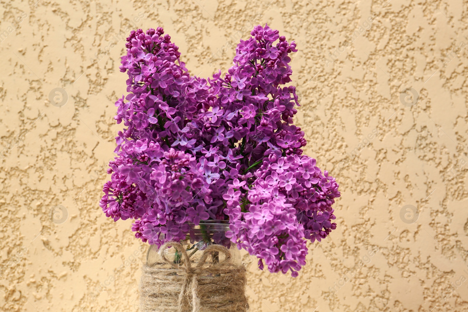 Photo of Beautiful lilac flowers in glass jar near beige wall