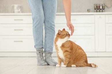 Photo of Woman with cute cat in kitchen at home, closeup