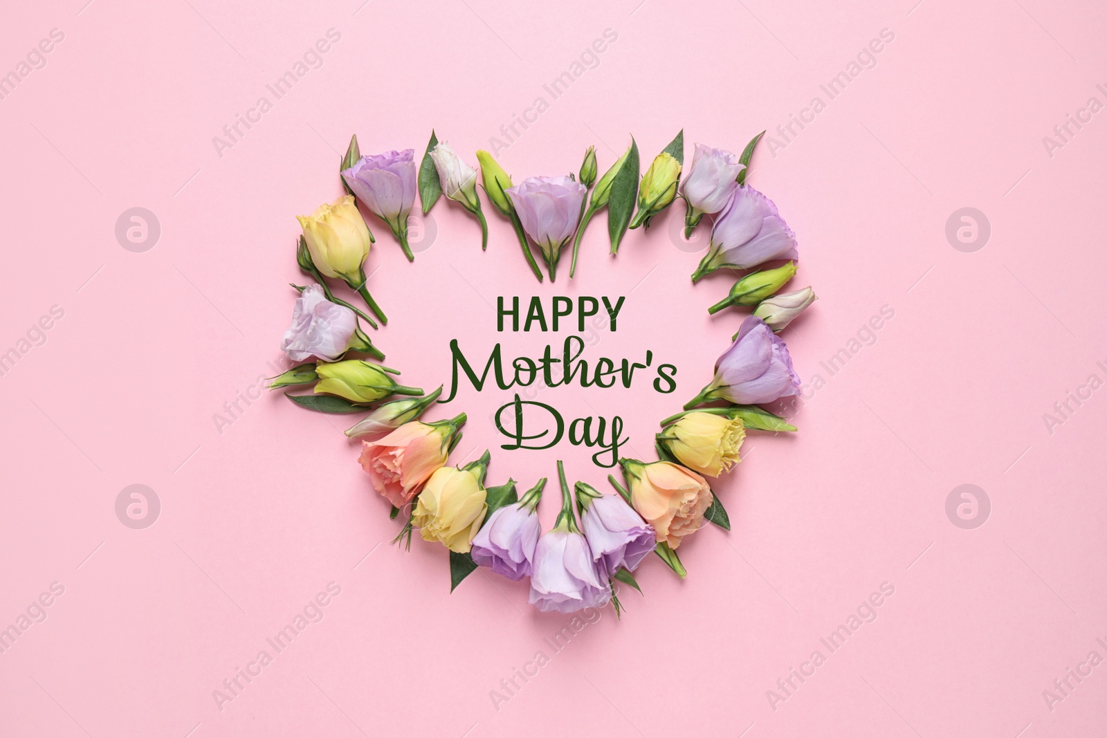 Image of Happy Mother's Day. Flat lay composition with beautiful eustoma flowers on pink background
