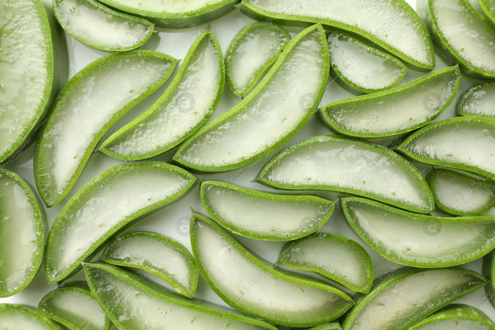 Photo of Fresh aloe vera slices on white background, flat lay