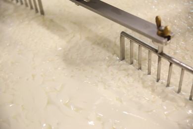 Photo of Curd and whey in tank at cheese factory, closeup
