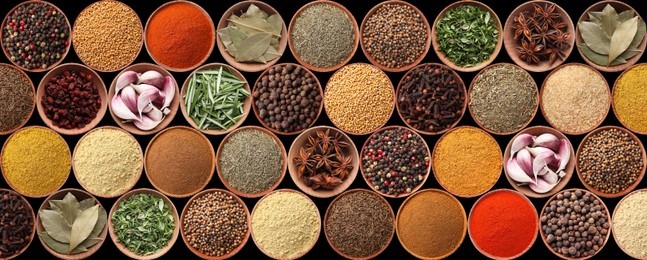 Collection of different aromatic spices and herbs on black background, flat lay. Banner design