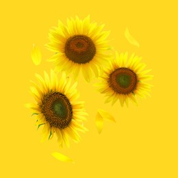 Image of Bright sunflowers in air on golden background