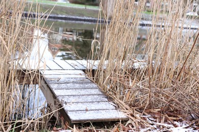 Photo of Wooden pier and reeds near water canal on winter day