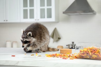Photo of Cute raccoon eating uncooked pasta on kitchen table