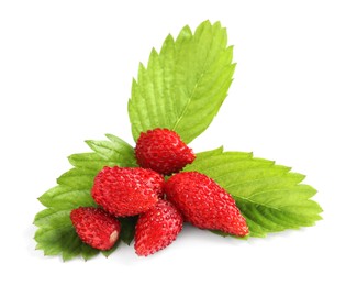 Photo of Ripe wild strawberries and green leaves isolated on white