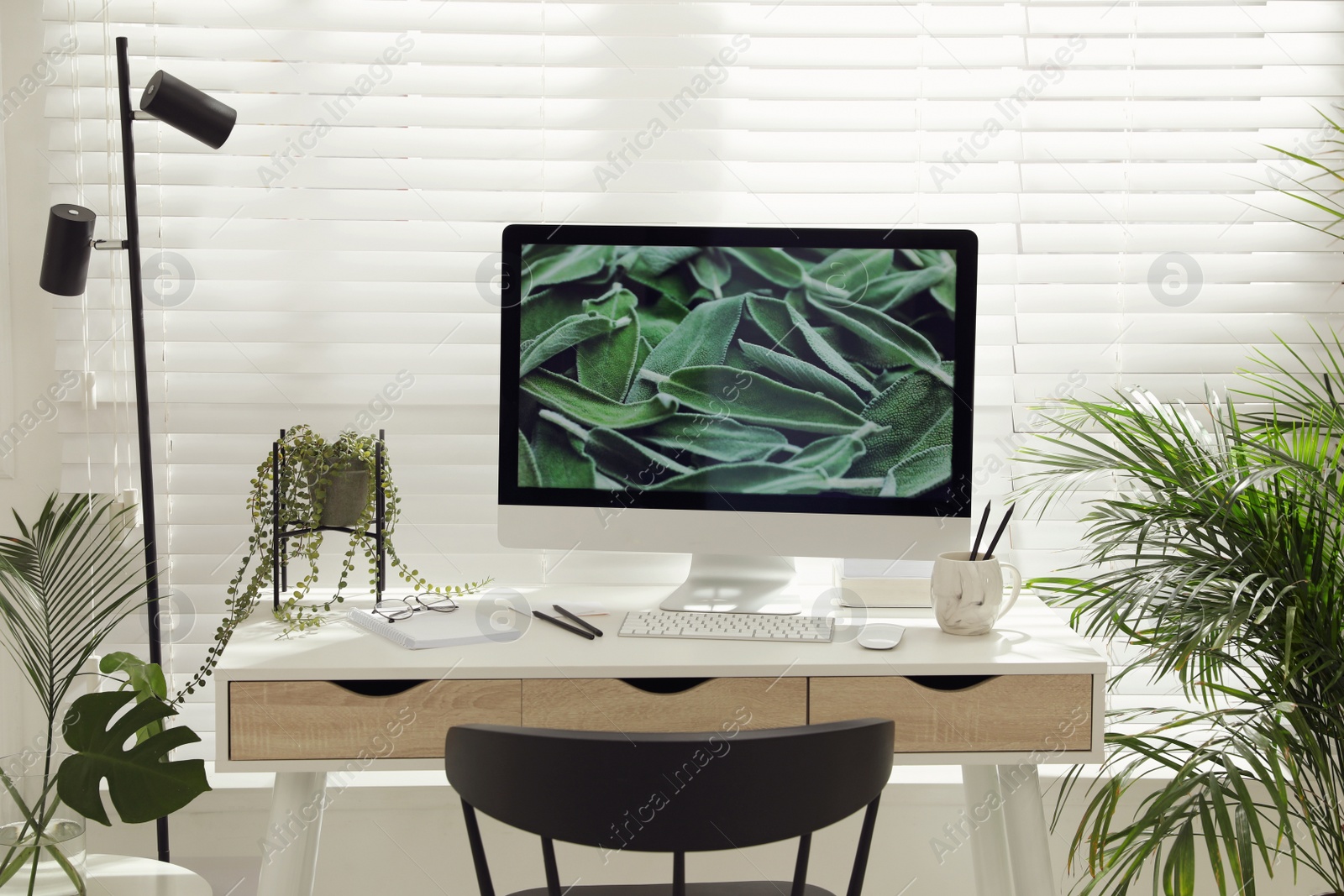 Photo of Comfortable workplace with modern computer and green plants in room. Interior design