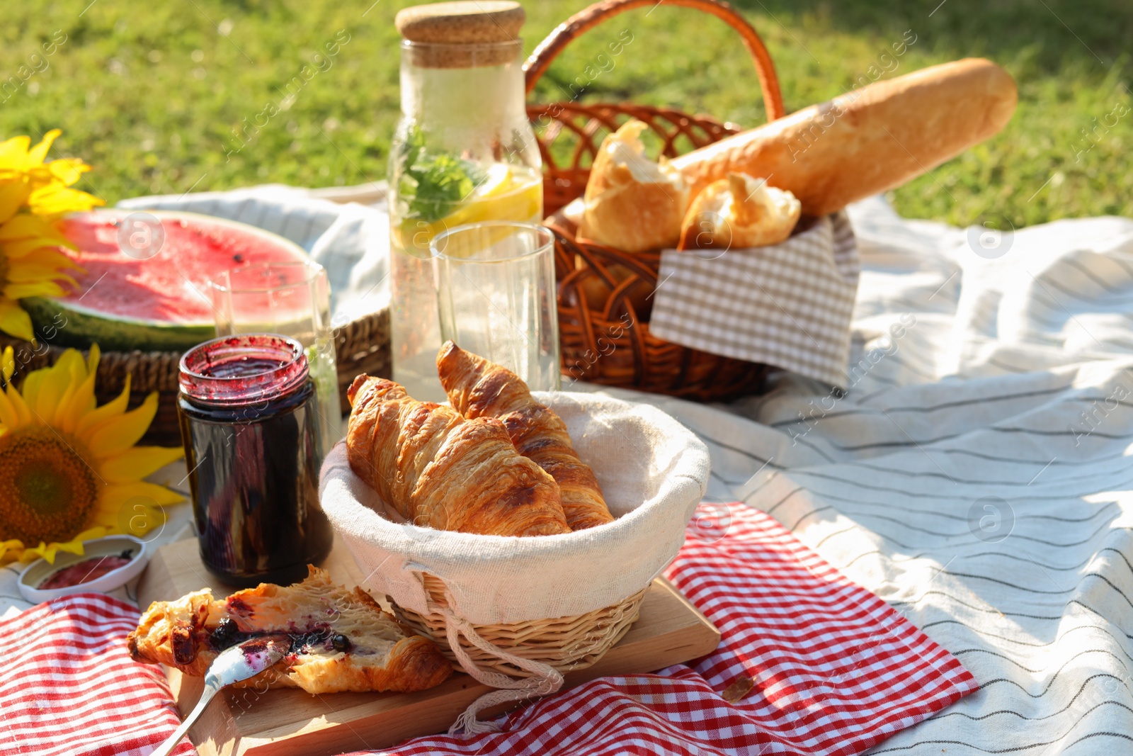 Photo of Delicious food and drink on striped blanket in garden. Picnic season