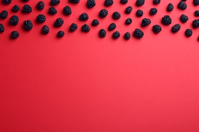 Flat lay composition with ripe blackberries on red background. Space for text