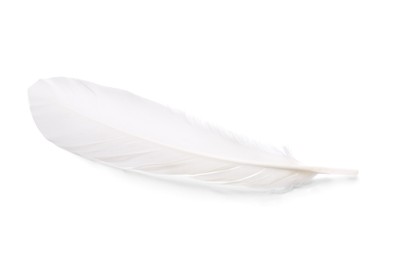 Photo of One fluffy beautiful feather isolated on white, top view