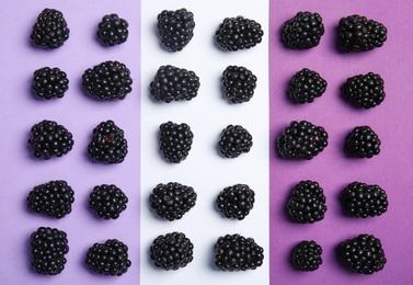 Flat lay composition with ripe blackberries on color background