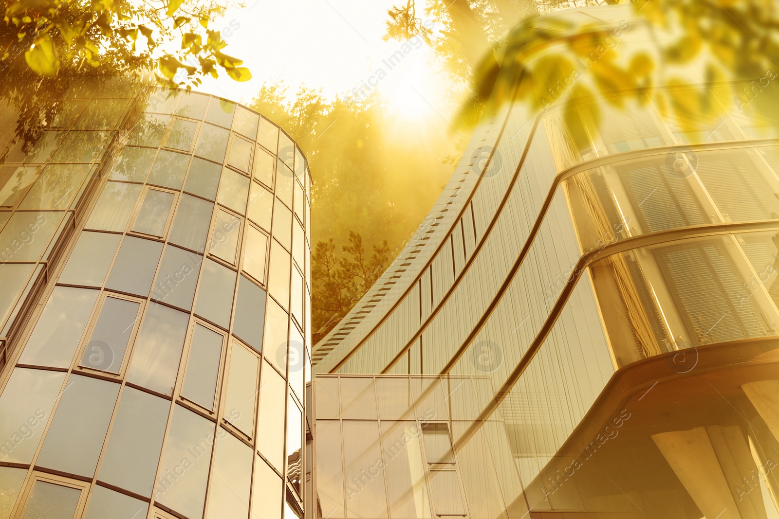 Image of Go green concept. Low angle view of modern building and tree at sunset