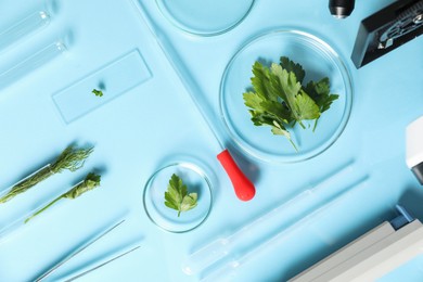 Food Quality Control. Microscope, petri dishes with herbs and other laboratory equipment on light blue background, flat lay