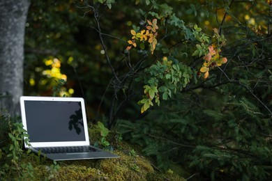 Photo of Laptop on green grass in forest, space for text. Distance work