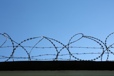 Metal barbed wire under clear blue sky outdoors