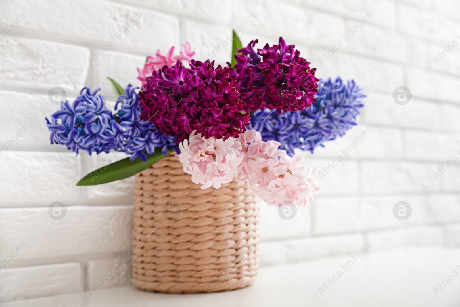 Photo of Beautiful hyacinths in wicker pot on table against brick wall, space for text. Spring flowers