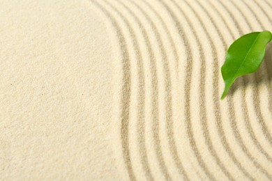 Photo of Zen rock garden. Wave pattern and green leaf on beige sand
