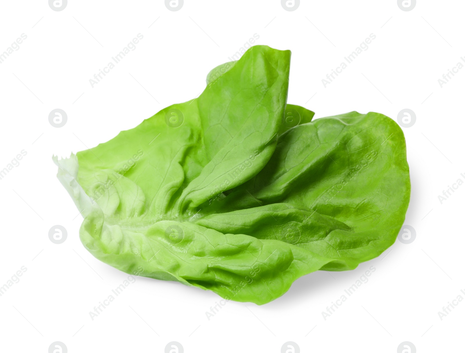 Photo of Fresh leaf of green butter lettuce isolated on white