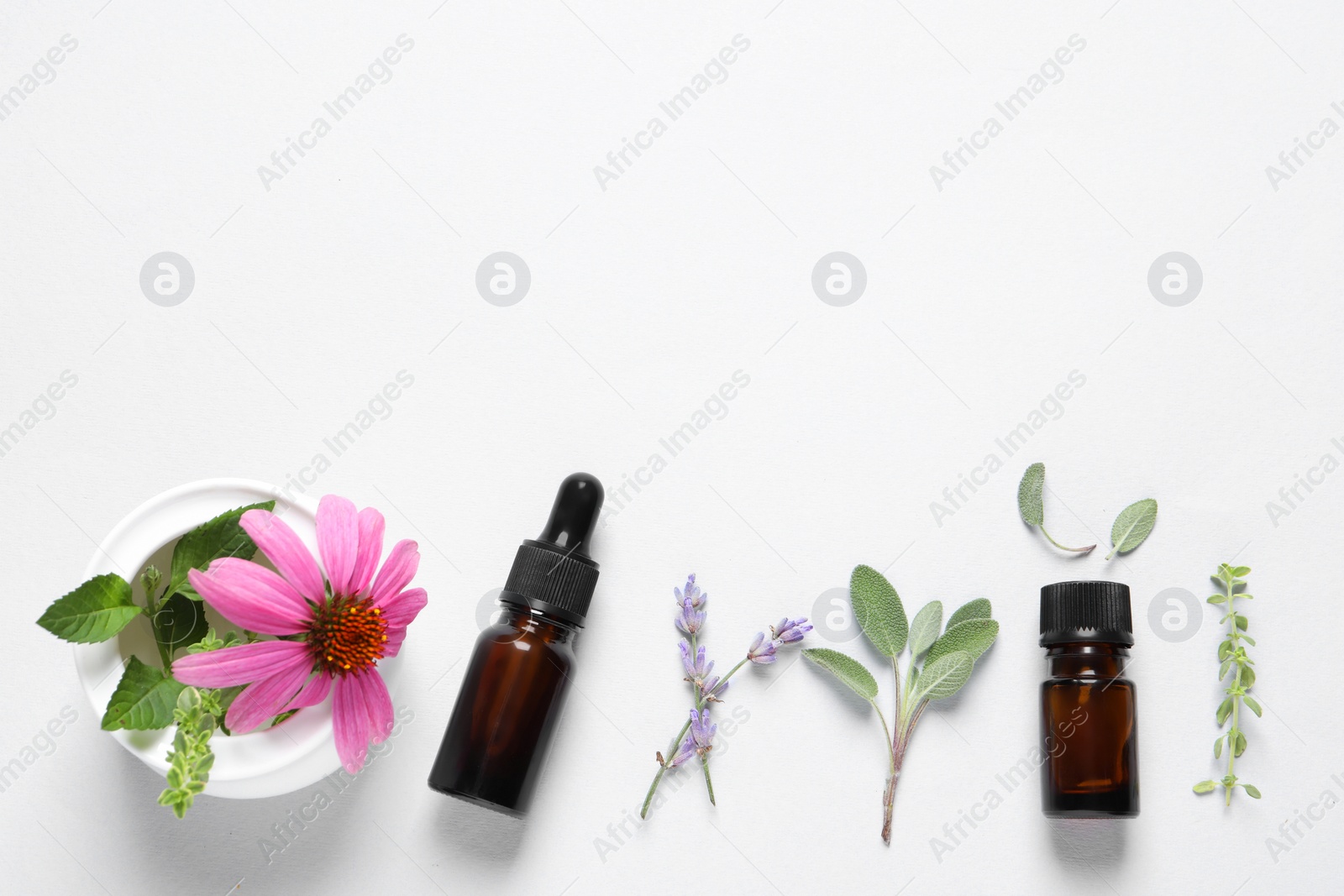Photo of Bottles of essential oils, different herbs and flowers on white background, flat lay. Space for text
