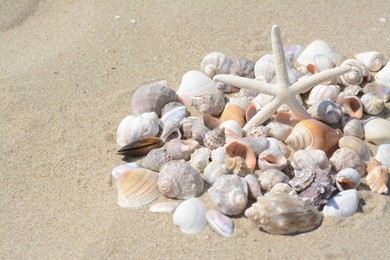 Photo of Beautiful starfish and sea shells on sand, space for text