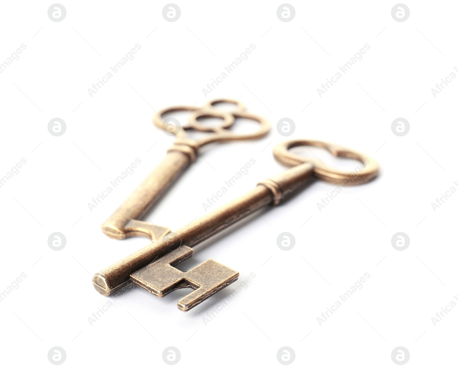 Photo of Bronze vintage ornate keys on white background