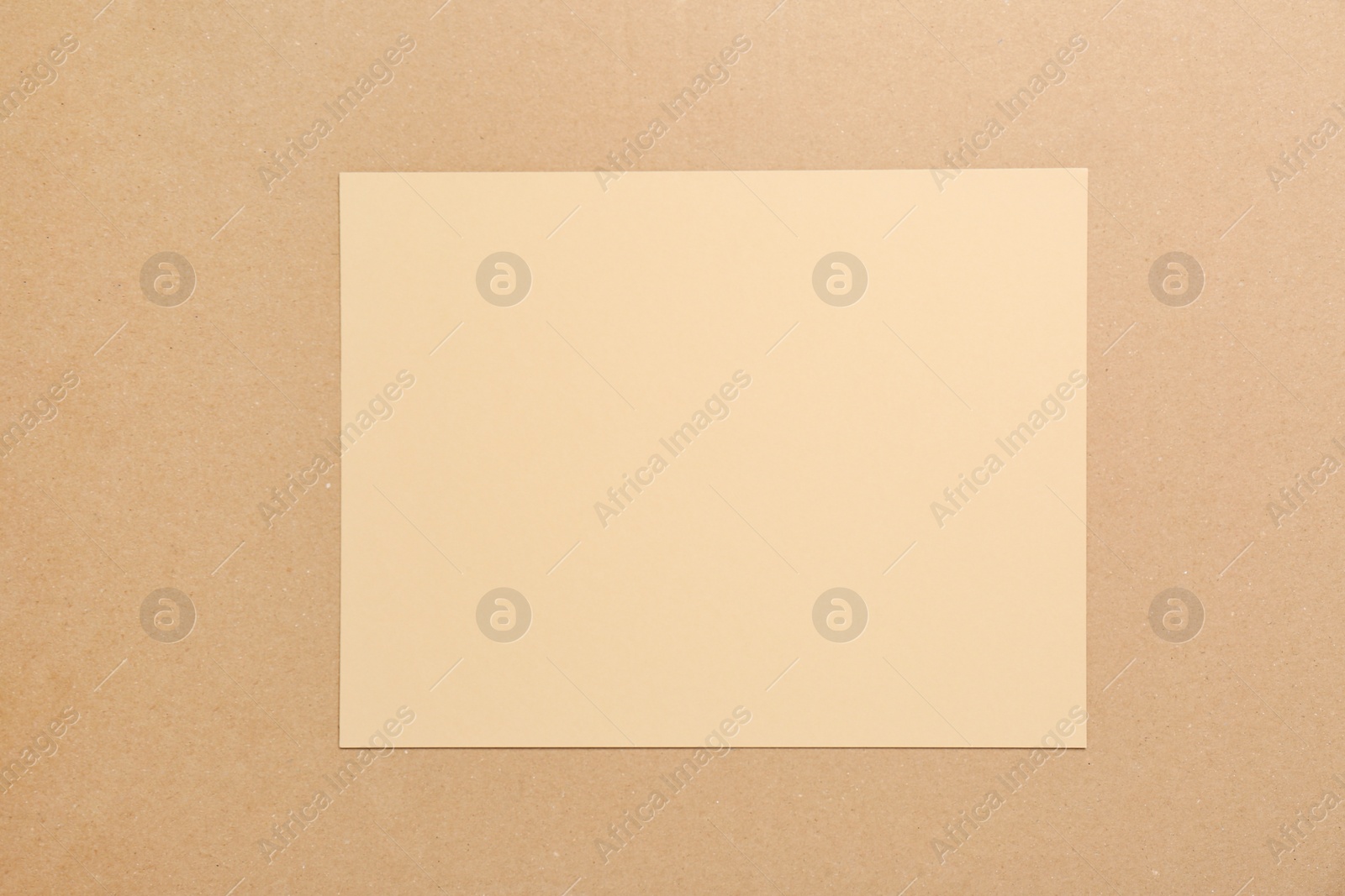 Photo of Piece of cardboard on color background, top view