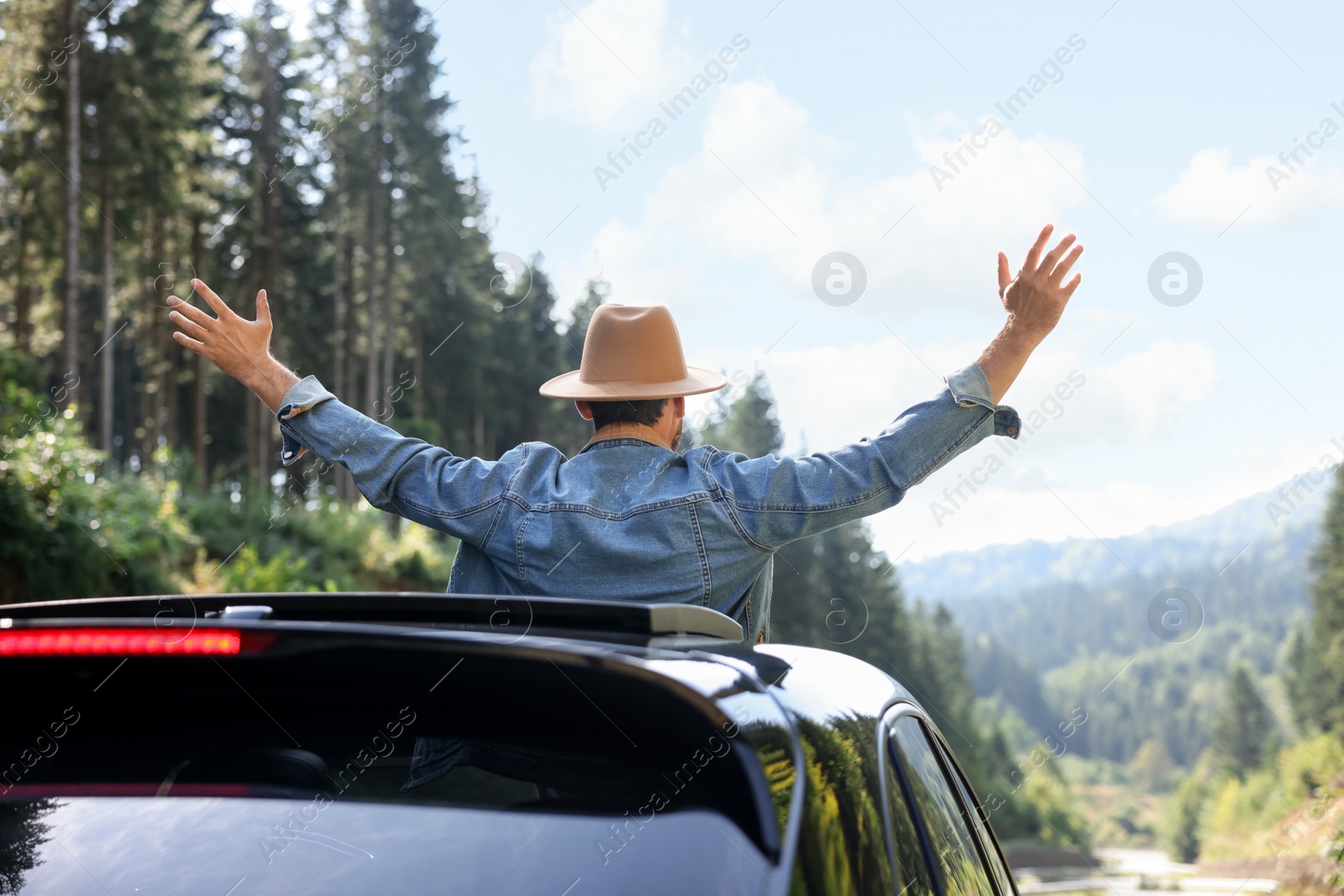 Photo of Enjoying trip. Man leaning out of car roof outdoors, back view