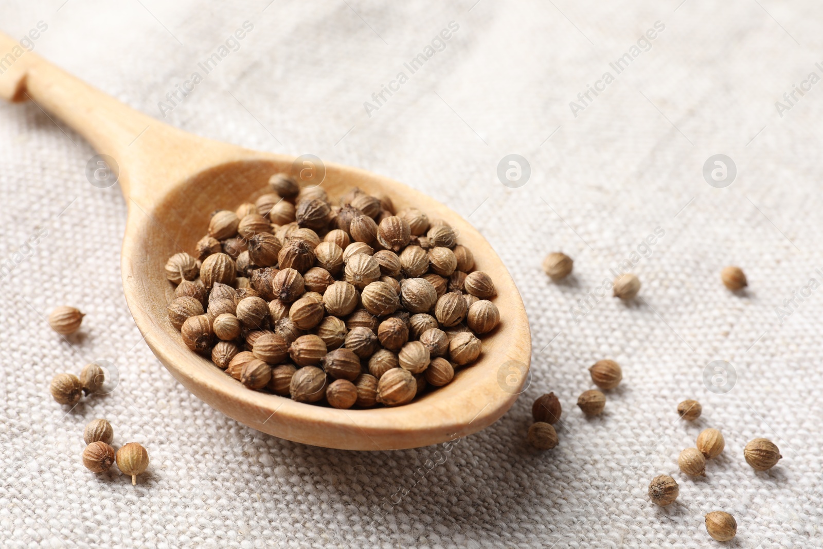Photo of Spoon with dried coriander seeds on light cloth, closeup