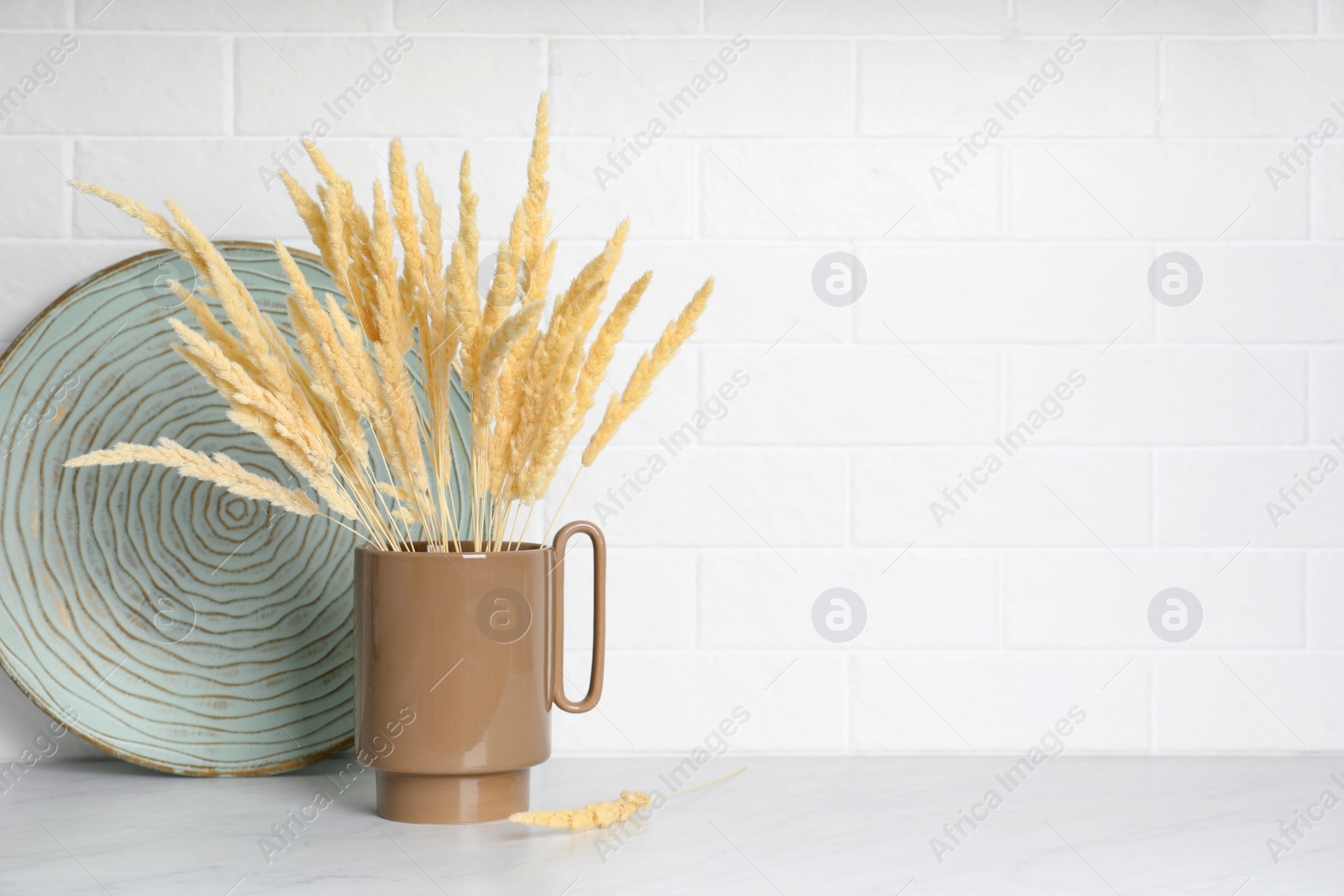 Photo of Ceramic vase with fluffy dry plants and decorative plate on light table near white brick wall. Space for text