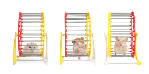 Cute funny hamsters running in wheels on white background, collage. Banner design