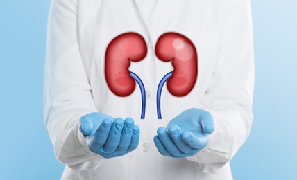 Closeup view of doctor and illustration of kidneys on light blue background