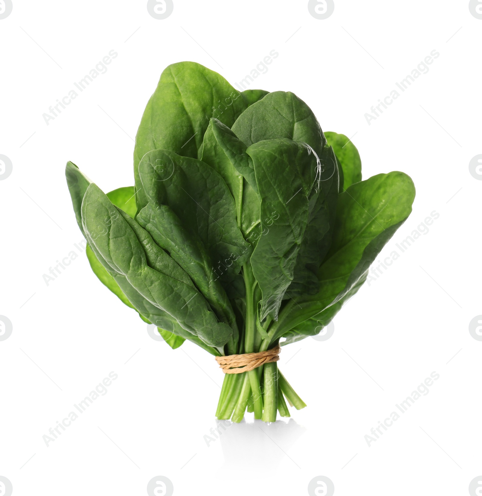 Photo of Bunch of fresh spinach isolated on white