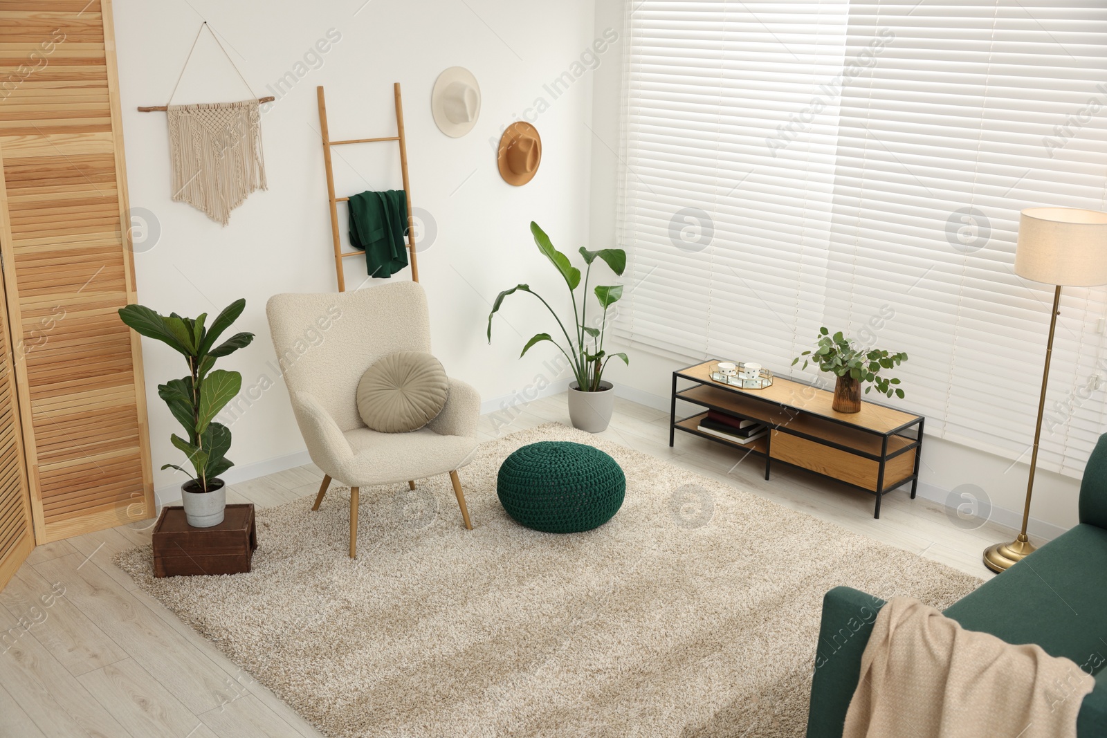 Photo of Stylish room interior with comfortable armchair, sofa and houseplants, above view