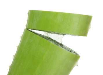 Cut aloe vera leaf isolated on white