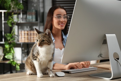 Photo of Young woman with cat working on computer at table, focus on animal. Home office concept