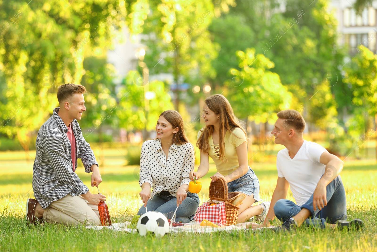 Photo of Young people enjoying picnic in park on summer day