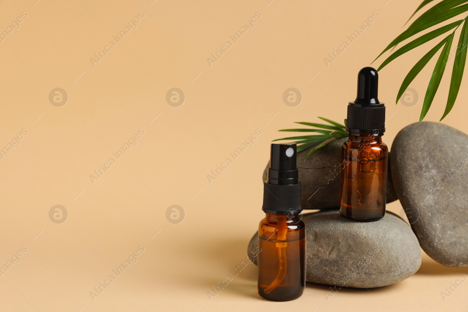 Photo of Bottles of organic cosmetic products, green leaf and stones on beige background, space for text